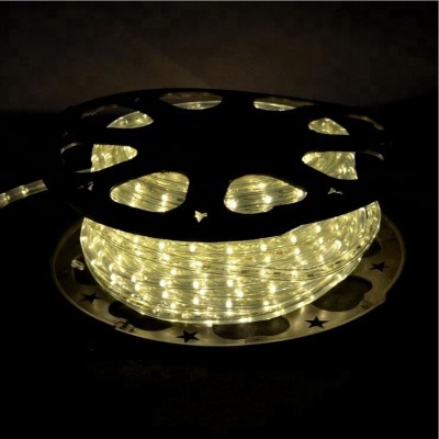 CE Rhos GS Quality IP65 Chasing effect RGB copper wires Flat Round 2 wires LED rope light